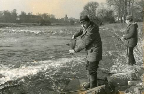 ARH Slg. Bartling 2229, Zwei Angler am östlichen Ufer des Leine-Flusses hinter dem Wasserfall, der eine mit ausgeworfener Angel, der andere mit einem großen Fang in den Händen, Neustadt a. Rbge., um 1970