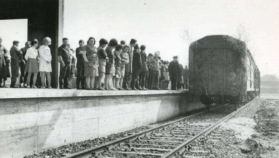 ARH Slg. Bartling 2557, Firma P. A. Rentrop AG, Matratzenfabrik, Siemensstraße (früher: An der Eisenbahn), Eisenbahnanschluss, Einweihung mit einem mit Maiengrün geschmückten Güterwagen, Neustadt a. Rbge., 1970