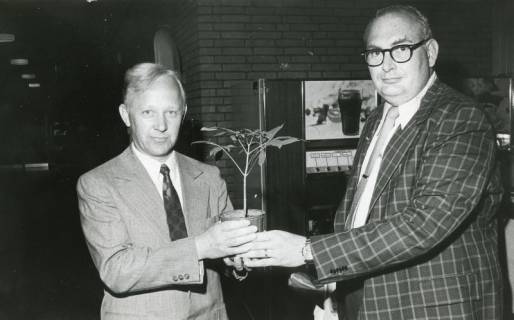 ARH Slg. Bartling 2913, Gymnasium an der Gaußstraße, Foyer, der Betreuer der Gast-Schüler*innen aus Tacoma, Washington (USA), Hans Ehrenheim (r.) überreicht dem Oberstudiendirektor Joachim Peters eine amerikanische Kastanie, Neustadt a. Rbge., 1974