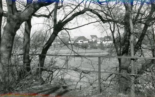 ARH Slg. Bartling 3240, Blick vom Amtsgarten über den Amtswerder auf die Häuser am östlichen Ufer der Leine, Neustadt a. Rbge., 1969