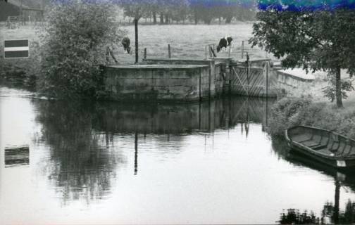ARH Slg. Bartling 3243, Einfahrt zur Schleuse, Blick von der Kleinen Leine auf das Schleusentor, Neustadt a. Rbge., 1974