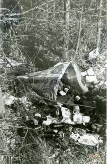 ARH Slg. Bartling 3368, Wilde Müllablagerung am Waldrand, bestehend aus zahlreichen Bierflaschen und Bierdosen in einer Tragetasche, Neustadt a. Rbge., um 1974