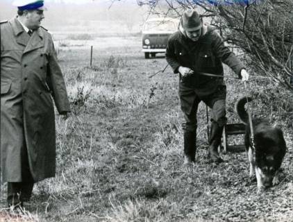 ARH Slg. Bartling 3423, Zwei Polizisten (rechts der Hundeführer in Zivil) mit Spürhund auf Spurensuche in der Leinemasch im Mordfall Vera Schulz (?), Neustadt a. Rbge., 1971