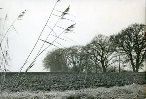 ARH Slg. Bartling 3502, Friedhof Lüningsburg, Blick über das frisch gepflügte Gelände, Neustadt a. Rbge., 1976