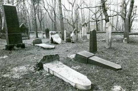 ARH Slg. Bartling 3510, Umgestürzte und zerbrochene Grabsteine auf dem jüdischen Friedhof, Neustadt a. Rbge., um 1986