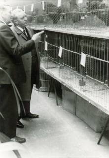 ARH Slg. Bartling 3622, Landrat Friedrich Meyer aus Mardorf, geführt von N. N. (l.), beim Besuch einer Geflügel-Ausstellung in der Gastwirtschaft Walter Rubrecht, Landwehr 26, Neustadt a. Rbge., um 1974