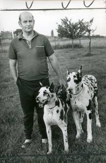 ARH Slg. Bartling 3625, Hunde-Züchter mit zwei weißen, schwarz gefleckten Doggen, Neustadt a. Rbge., um 1975