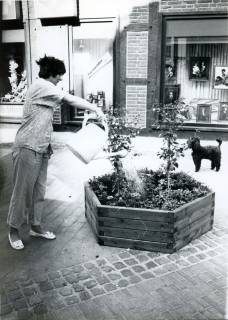 ARH Slg. Bartling 3666, Eine Frau beim Begießen eines Pflanzkübels vor dem Haus Mittelstraße Nr. 28 (Foto Köster), Neustadt a. Rbge., um 1975