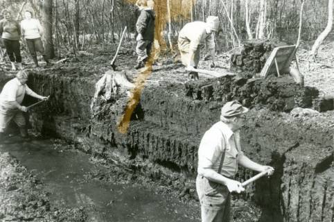 ARH Slg. Bartling 3718, Zwei Männer beim manuellen Torfstich mit Spaten im Graben, darüber Abfuhr der Soden mit einem Karren, im Hintergrund mehrere Zuschauer, Mardorf, um 1980