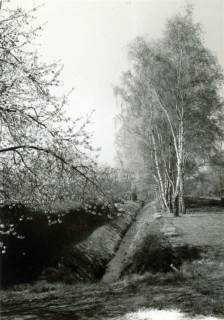 ARH Slg. Bartling 3787, Partie längs einem Wassergraben am Weinberge im Frühjahr, Poggenhagen, um 1970