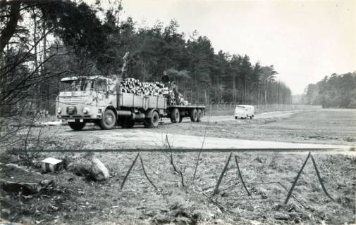 ARH Slg. Bartling 3817, Holzabfuhr auf der Fliegerstraße, Poggenhagen, 1971