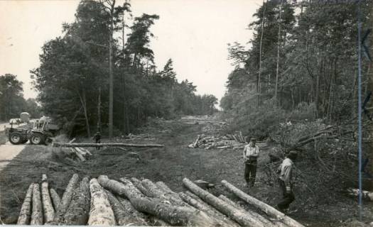 ARH Slg. Bartling 3892, Baumfällung zur Verbreiterung der Straße auf vier Spuren und zur Schaffung einer Abfahrt von der B 6 nach Bordenau bzw. nach Mecklenhorst auf der Höhe der Gaststätte Zum Dammkrug, Bordenau, um 1980