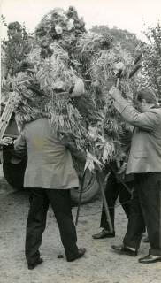 ARH Slg. Bartling 3900, Transport der Erntekrone beim Schützenbrauchtum, Bordenau, 1972
