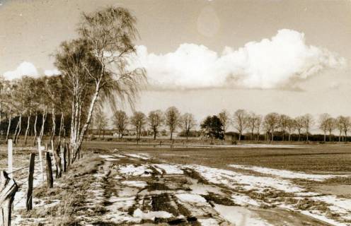 ARH Slg. Bartling 4094, Schneereste auf den Feldern am Aschenkrug an der B 6 bei Eilvese, 1970