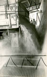 ARH Slg. Bartling 4258, Abkippen der Kornernte vom Hänger in die Speicheranlage der Landwirtschaftlichen Lager- und Speicherhalle, errichtet mit Unterstützung der Spar- und Darlehnskasse, Helstorf, um 1971