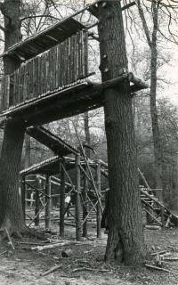 ARH Slg. Bartling 4442, Kletterpfad im Marienseeer Klosterforst, Aufbau durch die Waldjugend, Mariensee, 1974