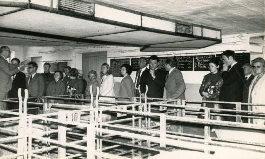ARH Slg. Bartling 4470, Gemischte Besuchergruppe in einem leeren Tierstall des Instituts für Tierzucht und Tierverhalten, Mariensee, 1969
