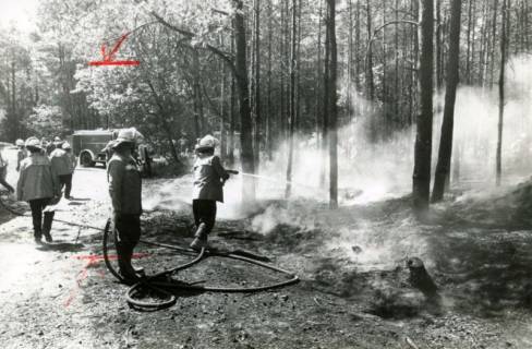ARH Slg. Bartling 4564, Löscheinsatz der Feuerwehr mit Spritze beim Waldbrand, Mardorf, um 1980