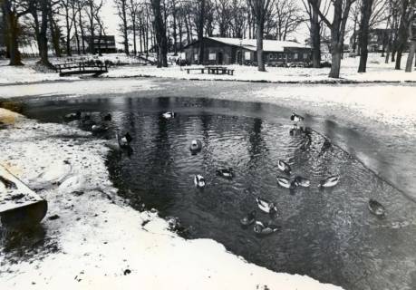 ARH Slg. Bartling 4597, Blick über den verschneiten Dorfteich auf das Schützenhaus nach Nordwesten, Mardorf, nach 1983