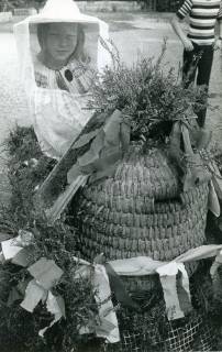 ARH Slg. Bartling 4781, Kind in Imkerkleidung hinter einem mit Heidekraut geschmückten historischen Bienenkorb auf einem Bollerwagen beim Erntefestumzug, Otternhagen, 1973