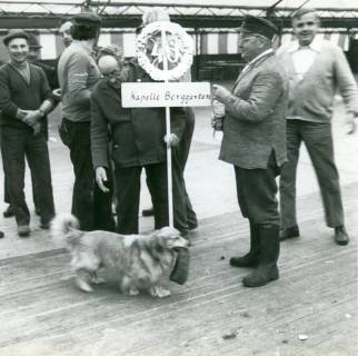 ARH Slg. Bartling 4836, Abbruch des Festzeltes zur 40-Jahrfeier der Kapelle Berggarten, einige Männer (mit Jubelkranz in der Mitte) bei Aufräumarbeiten im Zelt, Otternhagen, 1972