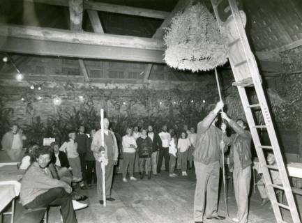 ARH Slg. Bartling 4975, Aufhängen des Erntekranzes im Gebälk der Feierscheune beim Erntefest (2 Ex.), Vesbeck, um 1975