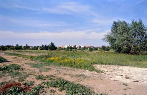 ARH Slg. Bürgerbüro 81, Blick über eine Wiese auf ein Wohngebiet, Sahlkamp, 1997