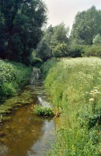 ARH Slg. Bürgerbüro 298, Kleiner Bach (Wiehgraben?) an der Leine bei Döhren, 1996