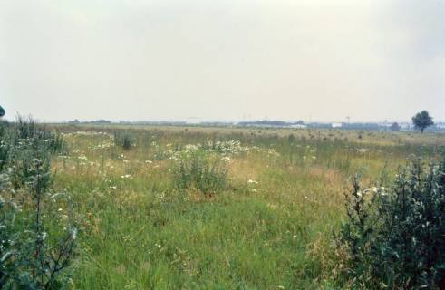 ARH Slg. Bürgerbüro 305, Kronsberg, Hannover, 1996