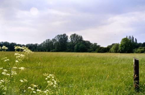 ARH Slg. Bürgerbüro 812, Blick auf eine Weide, Hannover, 1998