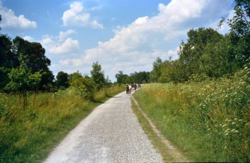 ARH Slg. Bürgerbüro 904, Radtour der Mitglieder des Bürgerbüros für Stadtentwicklung Hannover e. V. auf einem Radweg an der nördlichen Leineaue, Hannover, 1998