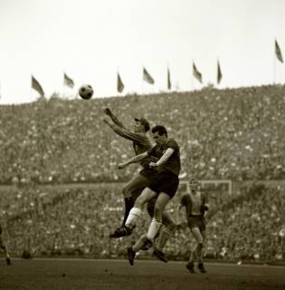 ARH Slg. Fratzer 01-0011/0005, Fußball Bundesliga 1964, Hannover 96 gegen Eintracht Braunschweig, Hannover, 1964