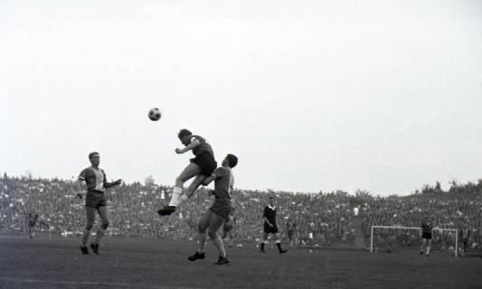 ARH Slg. Fratzer 01-0013/0005, Fußball Bundesliga 1964, Hannover 96 gegen Eintracht Braunschweig, Hannover, 1964