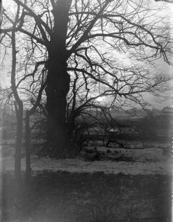 ARH Slg. Grabenhorst 13, Unbekannt, vor 1924