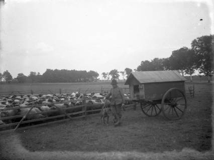 ARH Slg. Grabenhorst 8, Schäfer mit Schäferkarren, vor 1924