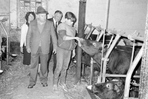 ARH Slg. Weber 02-040/0001, Mehrere Personen in einem Kuhstall, zwischen 1980/1990