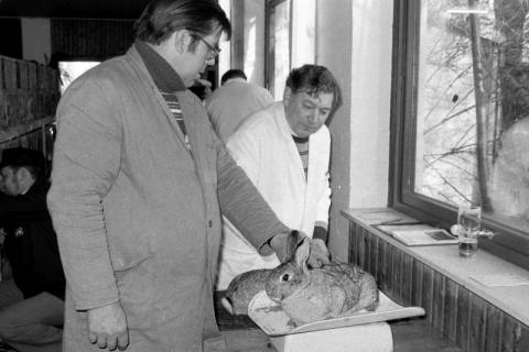 ARH Slg. Weber 02-047/0017, V.l. Uwe Voss und der Wertungsrichter beim Wiegen eines Kaninchens während einer Ausstellung des Kaninchenzuchtvereins F 36 Gehrden im Schützenhaus Gehrden, zwischen 1980/1990