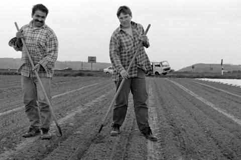 ARH Slg. Weber 02-065/0007, Zwei Arbeiter auf einem Feld, Ronnenberg, zwischen 1980/1990