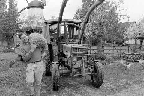 ARH Slg. Weber 02-068/0006, Landwirt Friedrich Maage Benthe mit einem Kartoffelsack auf seinem Hof, zwischen 1980/1990