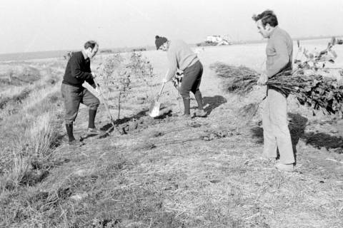 ARH Slg. Weber 02-101/0005, Ortsbürgermeister Karl-Heinz Hohmann (rechts) mit zwei weiteren Männern bei der Pflanzung von Büschen neben einem Feld in der Gemarkung Redderse, zwischen 1980/1990