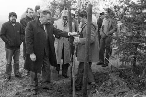 ARH Slg. Weber 02-126/0008, Baumpflanzung an der Stadtgrenze zwischen Gehrden und Ronnenberg, zwischen 1980/1990