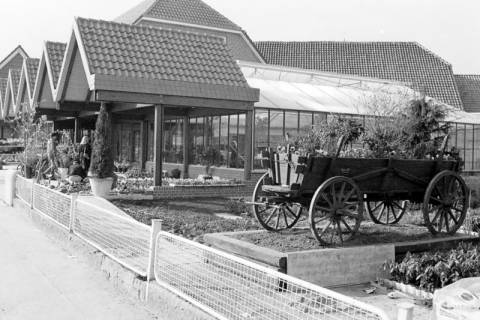 ARH Slg. Weber 02-137/0009, Außenansicht auf das Gartencenter Behre an der Dammstraße, Alt-Gehrden, zwischen 1980/1990