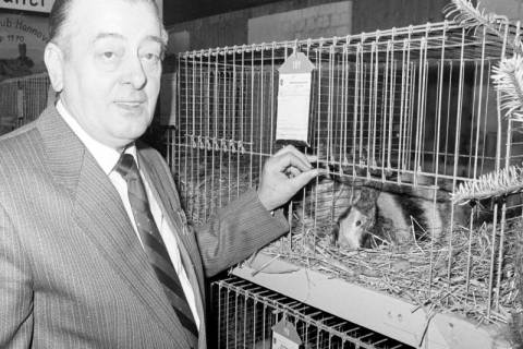 ARH Slg. Weber 02-150/0003, Manfred Weichelt, Vorsitzender des Kaninchenzuchtvereines Gehrden und Umgebung F36, zwischen 1980/1990