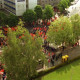 ARH BA 2710, Warnstreik der Gewerkschaft ver.di vor dem Kreishaus, Hannover