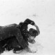 ARH NL Dierssen 0101/0024, "Schneebalgerei"
