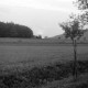 ARH NL Dierssen 0105/0002, Saupark