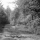 Archiv der Region Hannover, ARH NL Dierssen 0105/0013, Auf dem Weg nach Köllnischfeld