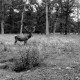 Archiv der Region Hannover, ARH NL Dierssen 0106/0007, 16 Ender "Pascha"