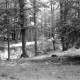 Archiv der Region Hannover, ARH NL Dierssen 0109/0013, Saupark