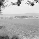 Archiv der Region Hannover, ARH NL Dierssen 0118/0025, Fernsicht auf Springe